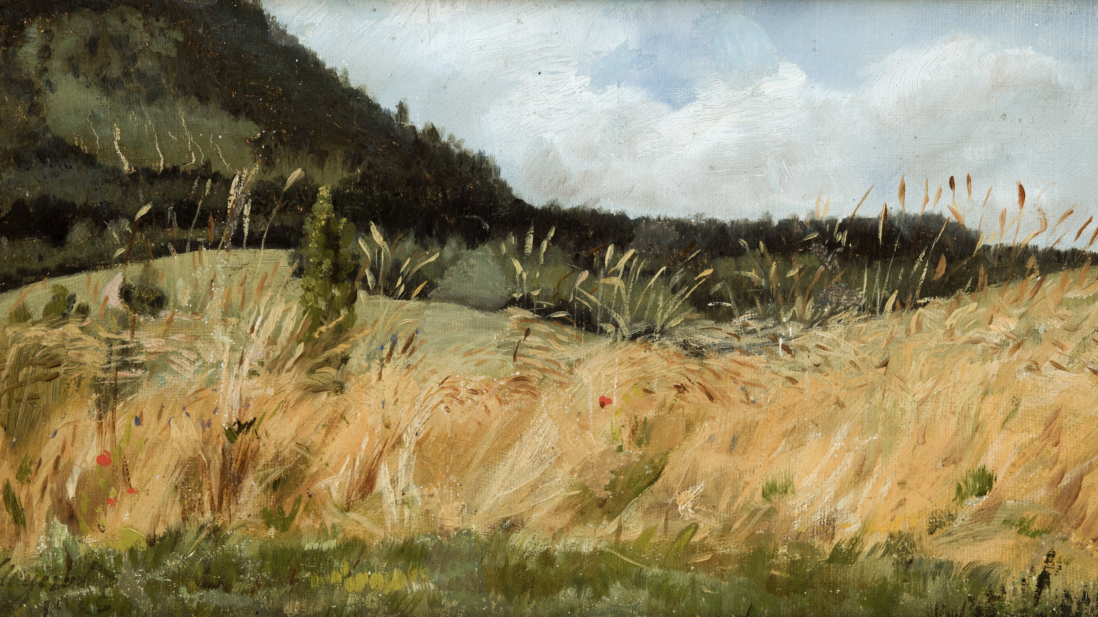 Wild Rye Ridge